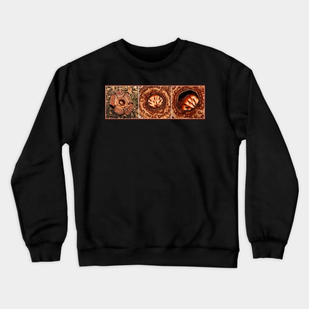 Male Rafflesia pricei Flower - Composite View Crewneck Sweatshirt by Carole-Anne